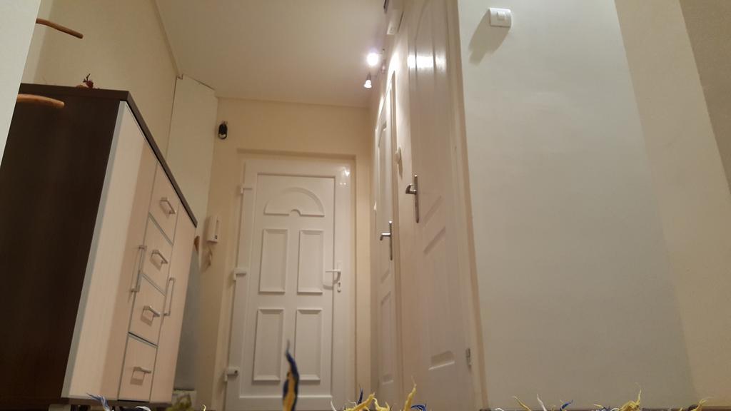 Aquarius Apartman Szeged Luaran gambar