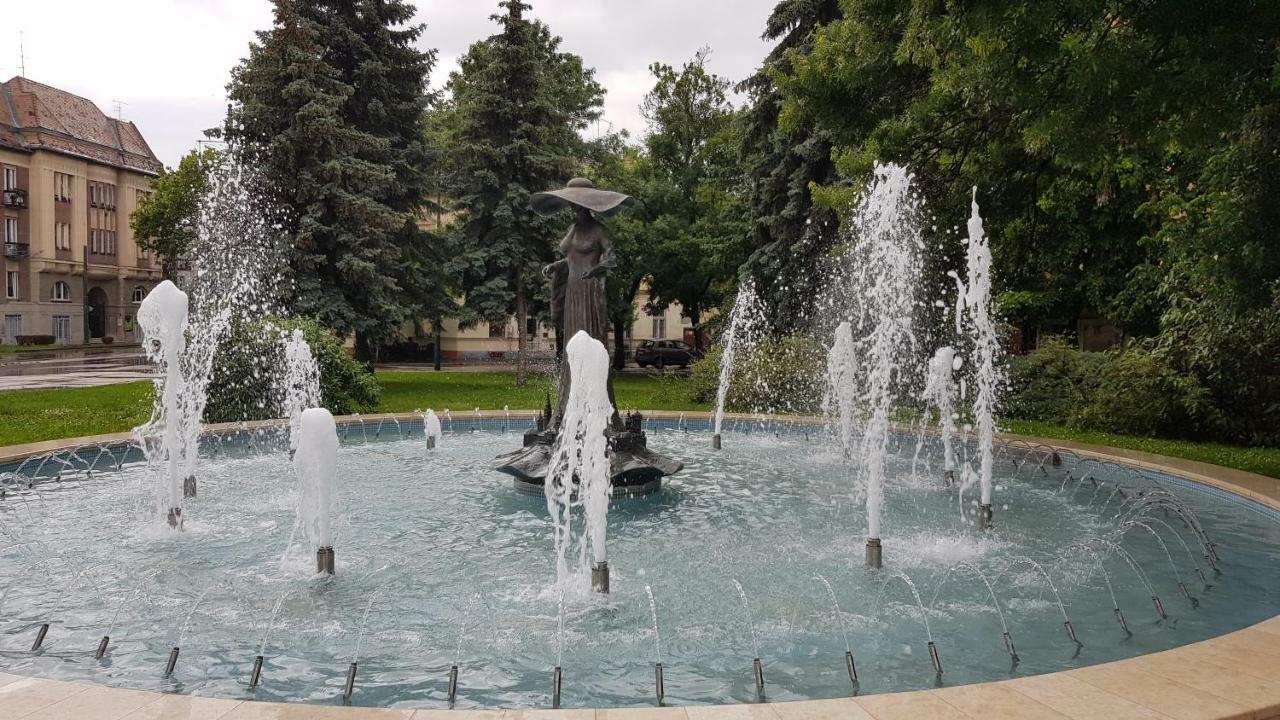 Aquarius Apartman Szeged Luaran gambar